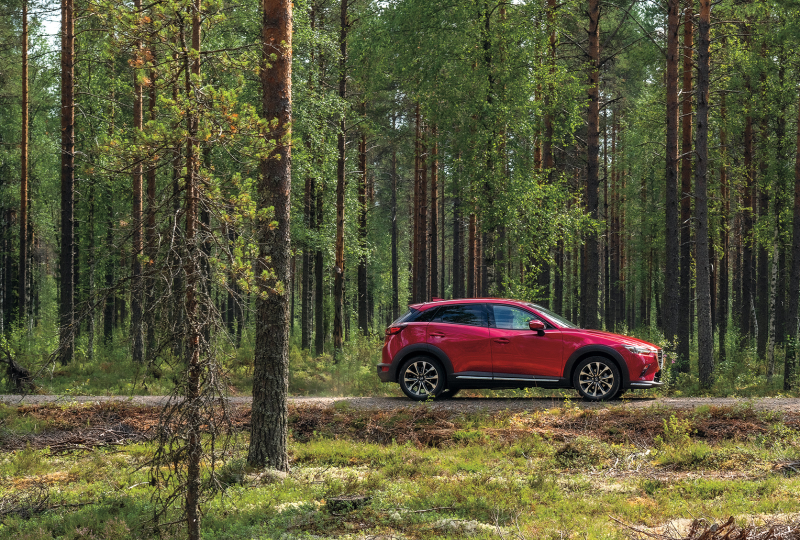 Un Mazda CX-5 vu de côté, sur une route en forêt, avec de grands arbres en arrière-plan
