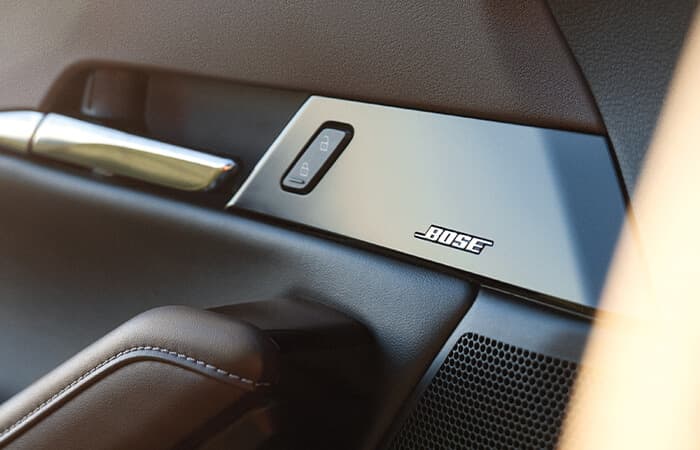 Bose component embedded in driver’s side door.