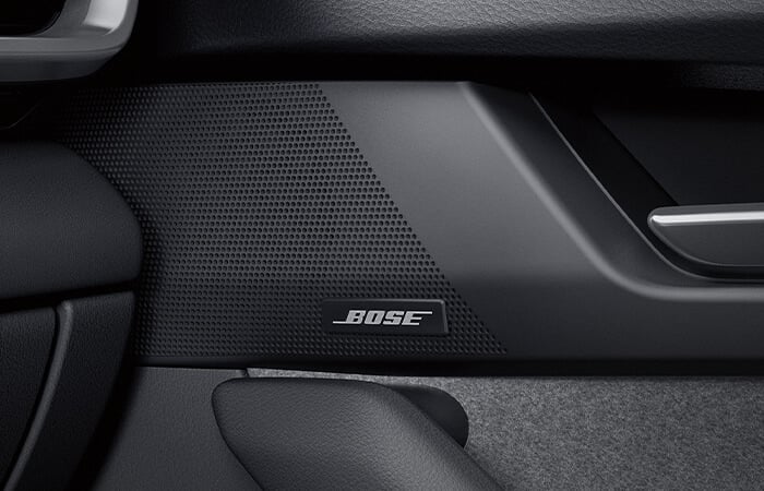 Embedded door speaker with Bose logo.