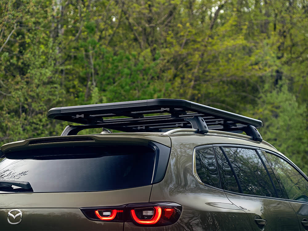 Shot of roof-mounted black crossbars and roof platform.