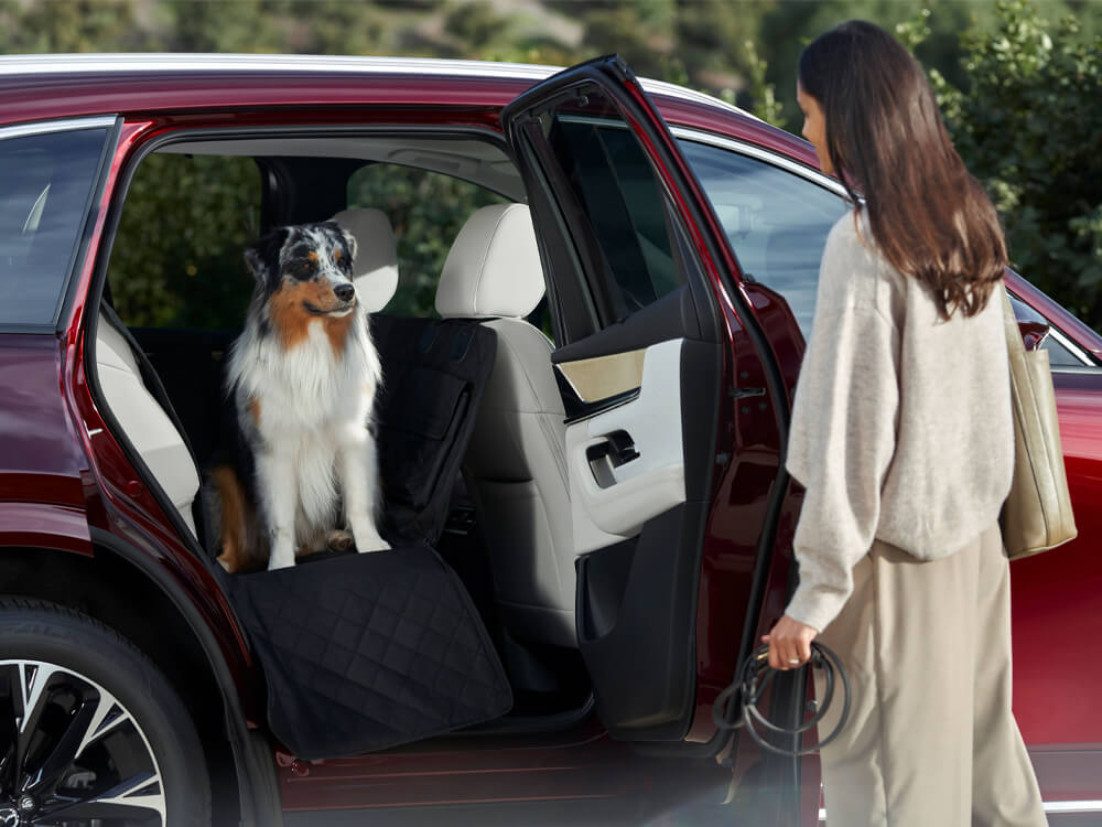 Un CX-90 rouge artisan garé avec la porte arrière ouverte; un chien accueille joyeusement une femme avec une laisse à la main.